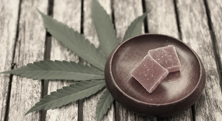 Cannabis Background Image